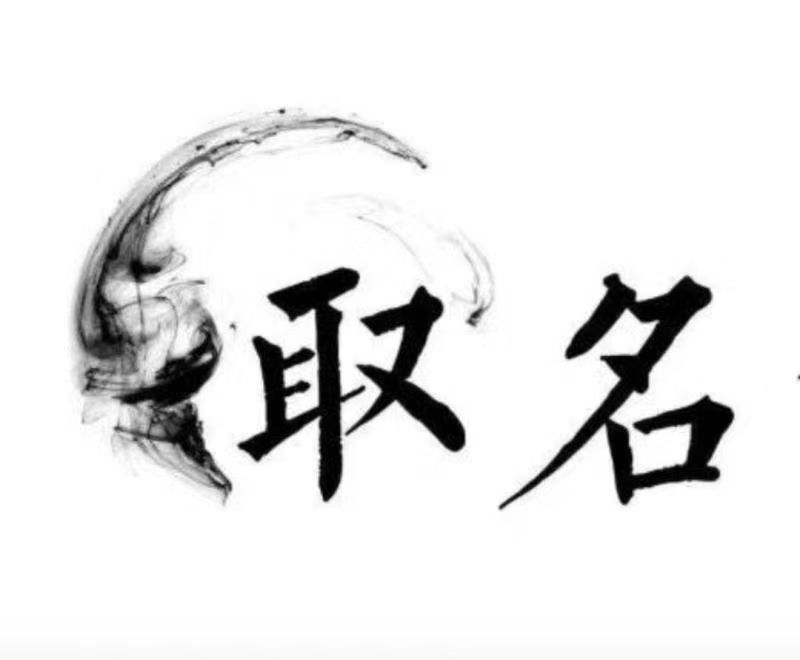  大厂宝宝取名 大师一对一人工起名